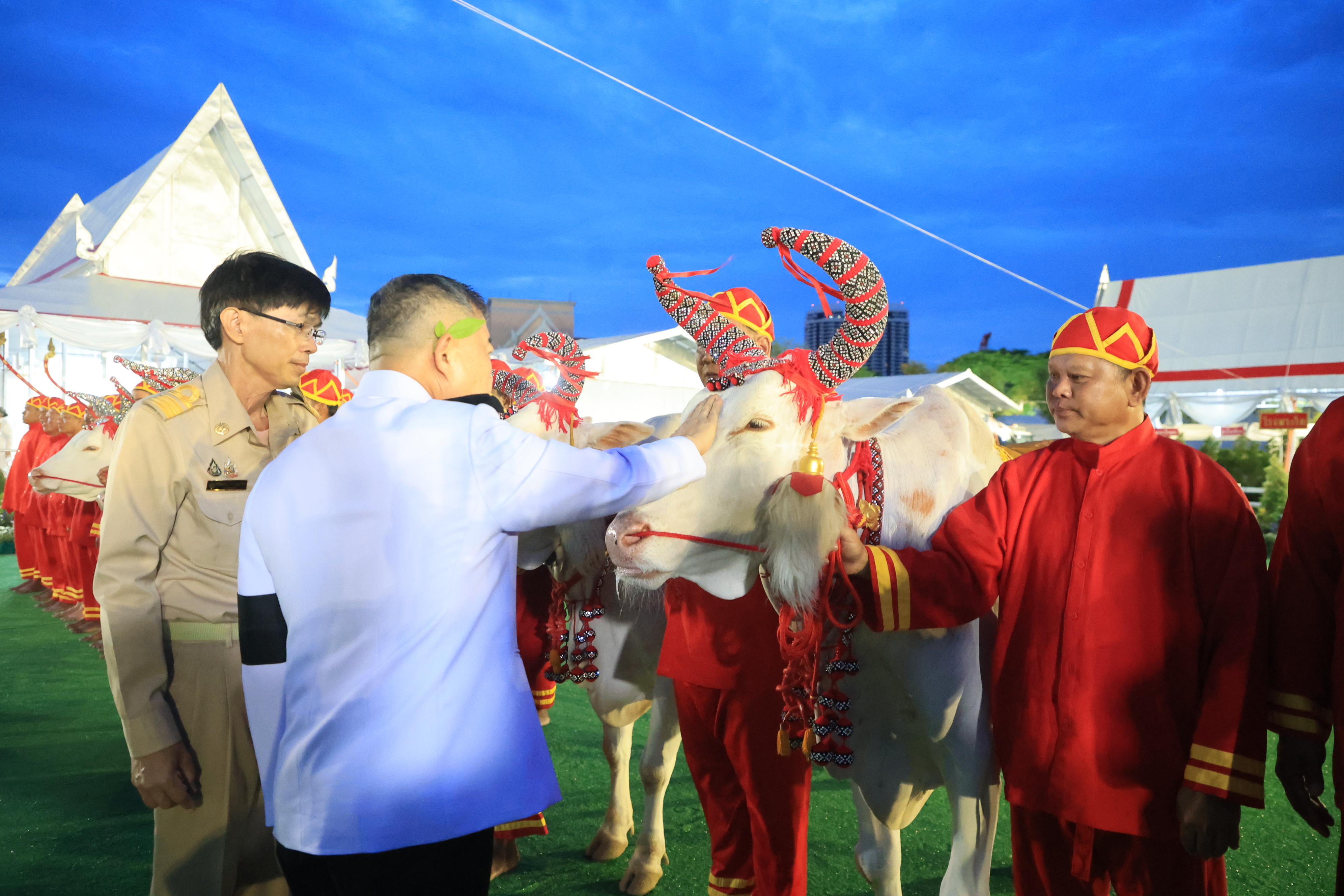 title - ปลัดเกษตรฯ ผู้ทำหน้าที่พระยาแรกนา พร้อมด้วยเทพีคู่หาบทองและเทพีคู่หาบเงิน ทำพิธีล้างมือพระยาแรกนา และเจิมหน้าพระโค